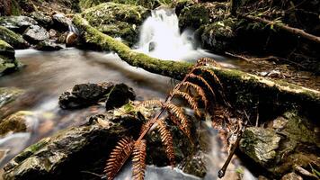 attrazioni nel il mondo quello rendere voi dimenticare per ritorno foto