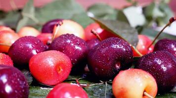 degno di nota cibo e bevande foto