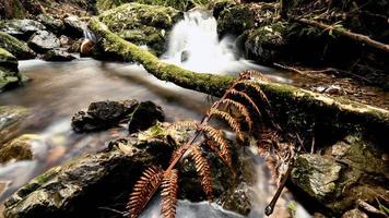 maggior parte bellissimo posto nel il mondo foto