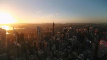 bellissimo australiano Paradiso foto