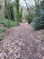 un' Visualizza di il cheshire campagna a peckforton foto