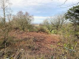 un' Visualizza di il cheshire campagna a peckforton foto