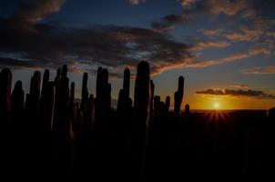 tramonto al di sopra di il deserto foto