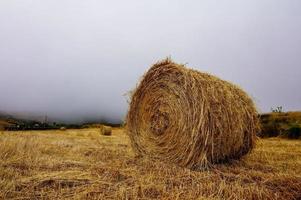 fieno pila su il campo foto