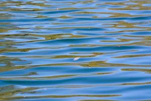 mare acqua avvicinamento foto