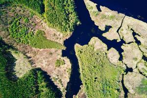 fiume golena paesaggio e verde foresta, aereo Visualizza foto