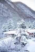 verticale Immagine di pesante neve a heike no sato villaggio nel tochigi prefettura, nikko città, Giappone foto