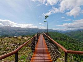 natura concetto di in viaggio e sensazione gratuito. punto di vista per il bellissimo valle. solitario albero. collegamento Di Più con natura. sfondo copia incolla spazio. blu cielo con alcuni nuvole. foto