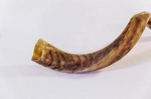 shofar un' tallit su bianca sfondo - Rosh hashanah ebreo vacanza concetto foto