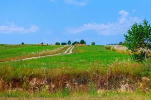 strada rurale nel paesaggio lettone. foto