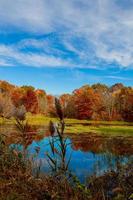 il luminosa colori di autunno nel il parco di il lago. foto