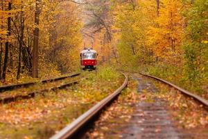 autunno foresta tra quale va un' strano tram foto