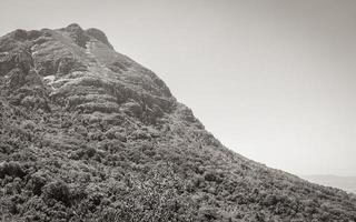 Table Mountain National Park Città del Capo, Sud Africa. foto