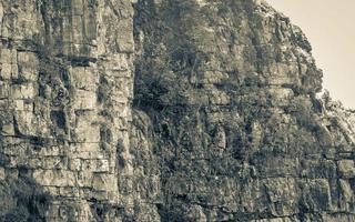 scogliere e rocce parco nazionale di table mountain città del capo, africa. foto