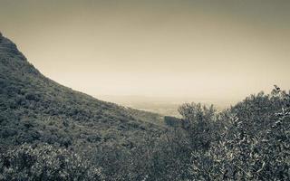 Table Mountain National Park Città del Capo, Sud Africa. foto