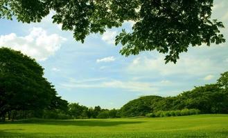 cielo azzurro e giardino verde foto