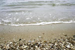 conchiglie in riva al mare foto