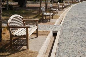 panchine in legno nel parco foto