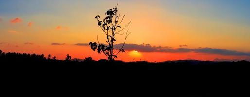 panorama Visualizza silhouette albero nel tramonto su cielo bellissimo colorato paesaggio e città campagna crepuscolo tempo arte di natura foto