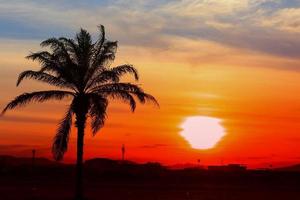 tramonto bellissimo colorato paesaggio nel blu cielo sera natura crepuscolo tempo e silhouette albero foto