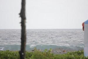 foto di nero sabbia spiaggia durante il giorno