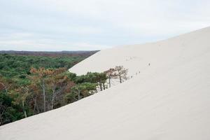 bellissimo duna a pilat, Francia. irriconoscibile persone nel il sfondo foto