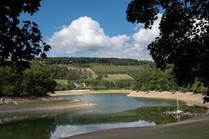 henne lago, maglia, Sauerland, Germania foto