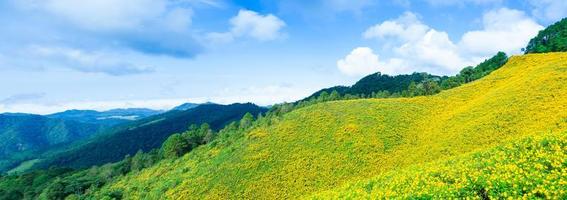 paesaggio in thailandia con fiori gialli foto