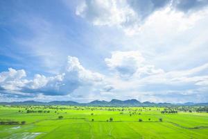 campi di riso in thailandia foto