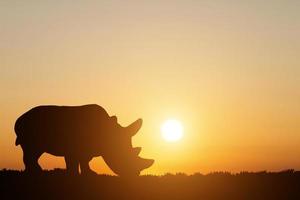 sagoma di un rinoceronte sullo sfondo del tramonto foto