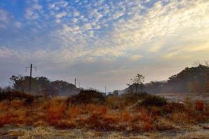 foschia del fiume nella mattina d'estate foto