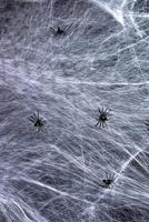 teso bianca ragnatela e nero ragni, sfondo per il vacanza Halloween foto