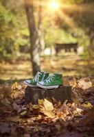 logoro verde scarpe da ginnastica su un' ceppo foto