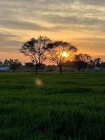 bellissimo rurale paesaggio con bellissimo pendenza sera cielo a tramonto. verde campo e villaggio foto