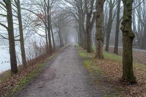 vicolo nel il piovoso parco foto