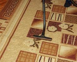 il testa di un' moderno vuoto addetto alle pulizie contro il sfondo di un' tappeto. chiudere. foto