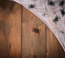 bianca ragno ragnatela con nero ragni su un' di legno sfondo a partire dal vecchio tavole foto
