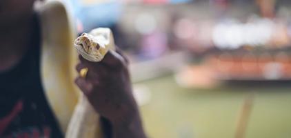 domatore di serpenti boa in thailandia foto