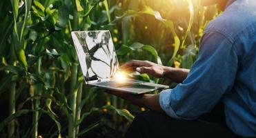 asiatico donna e uomo contadino Lavorando insieme nel biologico idroponica insalata verdura azienda agricola. utilizzando tavoletta ispezionare qualità di lattuga nel serra giardino. inteligente agricoltura foto