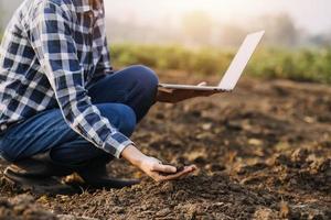 asiatico donna e uomo contadino Lavorando insieme nel biologico idroponica insalata verdura azienda agricola. utilizzando tavoletta ispezionare qualità di lattuga nel serra giardino. inteligente agricoltura foto