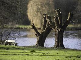 lago nel il Tedesco munsterland foto