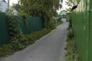 strada nel campagna. verde strada con recinzioni. villaggio nel estate. foto