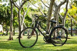 bicicletta nel parco foto