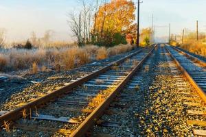 nebbia che copre i binari ferroviari vicino foto