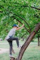 ragazzo si arrampica un' albero. bambini nel il parco. bambini Giochi su il strada foto