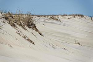 dune di sabbia sulla spiaggia foto