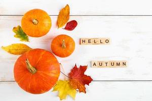 Ciao autunno. zucche mature e foglie gialle cadute su sfondo bianco. simbolo di halloween e ringraziamento. foto