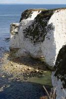 Visualizza di vecchio Harry rocce a a mano punto, su il isola di purbeck nel Dorset foto