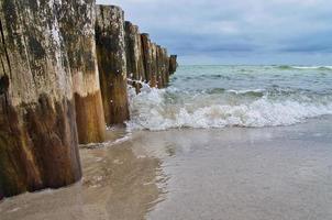 su il spiaggia di il baltico mare nel zingst. Visualizza di il mare con groyne. paesaggio foto