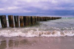 su il spiaggia di il baltico mare nel zingst. Visualizza di il mare con groyne. paesaggio foto